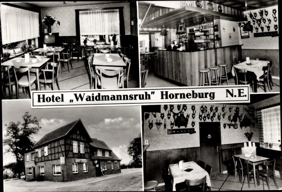 Ansichtkaart Horneburg im Alten Land, Hotel Waldmannsruh, buitenaanzicht, bar, eetkamer, gewei