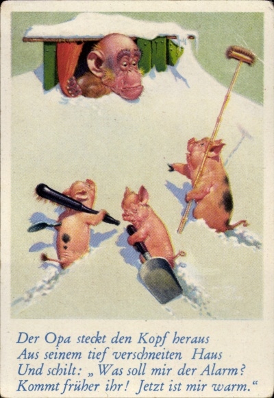 Collector's picture funny pictures No. 7, orangutan in a snowed-in house, pigs