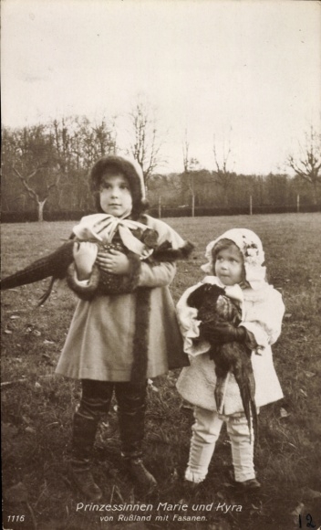 Postcard Princesses Marie and Kyra of Russia with pheasants, portrait