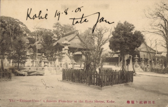 Postcard Kobe Honshu Hyogo Japan, Ebirano-Ume, Ikuta Shrine
