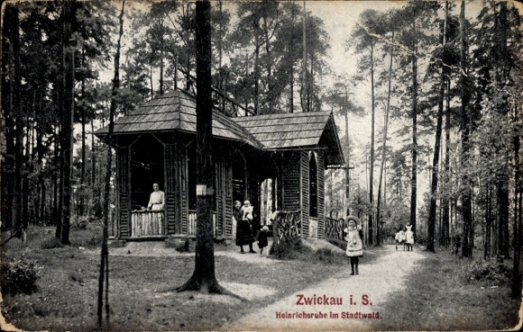 Ak Zwickau Sachsen, Heinrichsruhe, Stadtwald, Waldpartie
