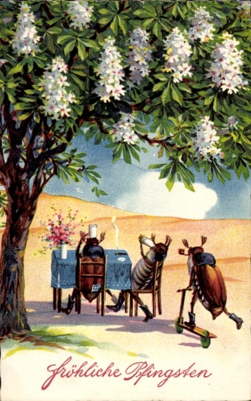 Litho Glückwunsch Pfingsten, Maikäfer, vermenschlicht