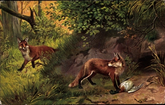 Postcard Eichenbach in the Eifel, fox with captured duck in the forest