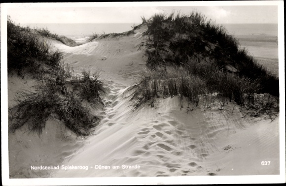Postcard North Sea resort Spiekeroog in East Frisia, dunes on the beach