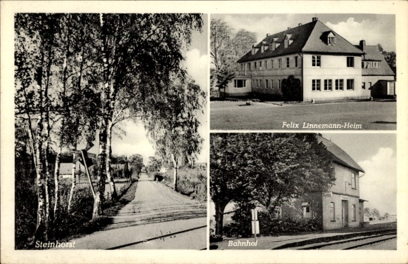 Ak Steinhorst in Lauenburg, Bahnhof, Felix Linnemann-Heim