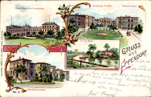 Chromo-Litho Hamburg Eppendorf, Hospital, Boarders Pavilion, Operating House, Pavilion 10 and 20, Alster