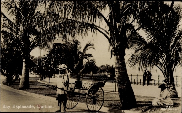 Ak Durban Südafrika, Bay Esplanade, Palmen, Person mit Wagen, Schwarz-Weiß-Foto
