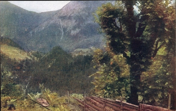 PC Carinthia Austria, motif in the Zelltal