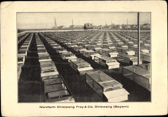 Postcard Dirlewang in the Lower Allgäu, mink farm Frey &amp; Co.