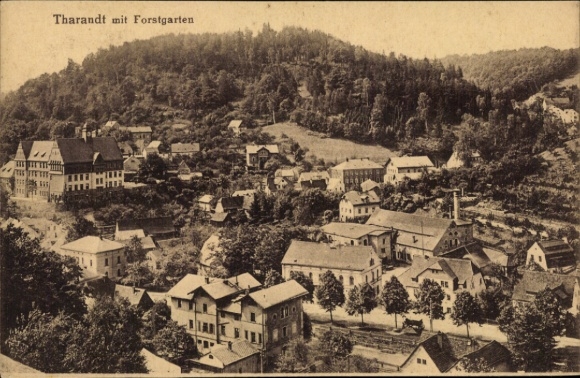 Ak Tharandt im Erzgebirge, Teilansicht des Ortes mit Blick zum Forstgarten