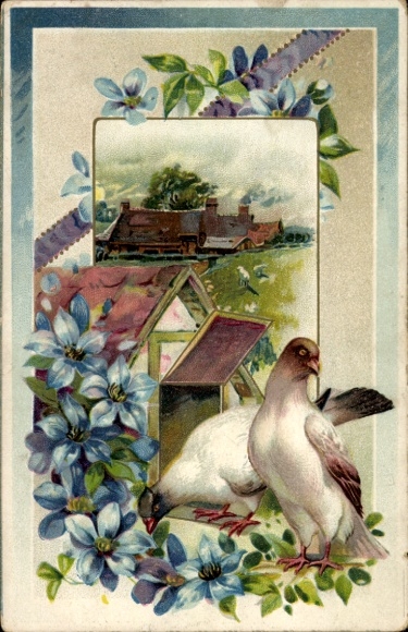 Präge Ak Zwei weiße Tauben vor einem Taubenschlag, Blumen