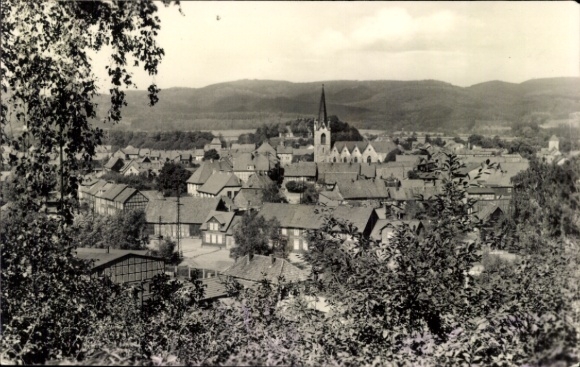 Ak Ellrich Harz Thüringen, Panorama