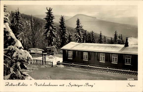 Picture Zella Mehlis in the Thuringian Forest, snowy landscape, wooden house, Spitziger Berg, pine trees
