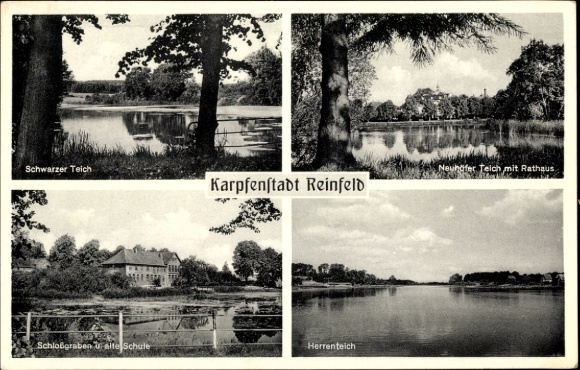 Postcard Reinfeld in Holstein, Schwarzer Teich, Neuhöfer Teich with town hall, castle moat and old school