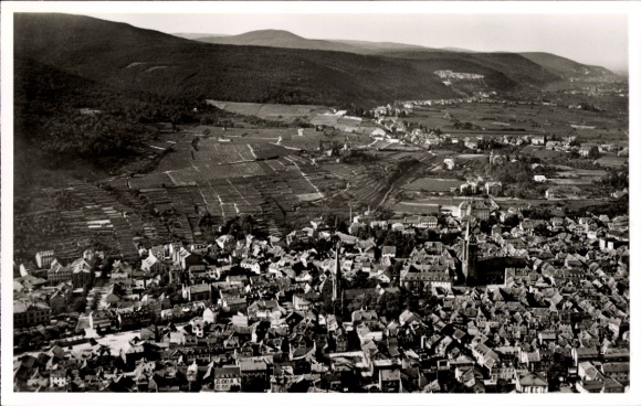 Ak Neustadt an der Weinstraße, Luftaufnahme von Neustadt, Weinberge,  Gebäude, Kirchen