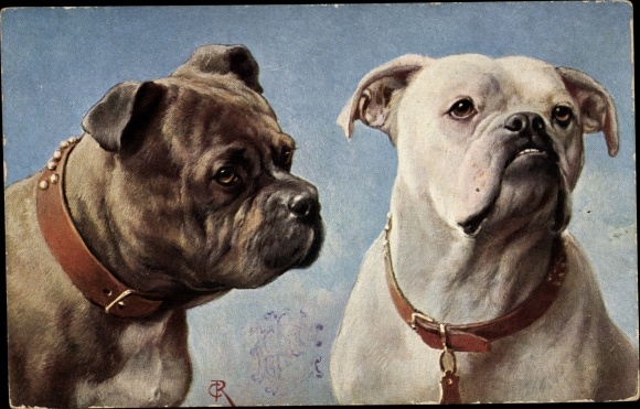 Artist Postcard Two dogs with collars