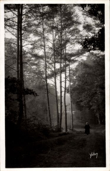 Postcard Huelgoat Finistère, forest