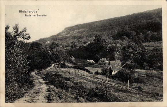 Ak Bleicherode am Harz, Landschaft mit Hügeln, Bäume, kleines Haus, Weg im Vordergrund