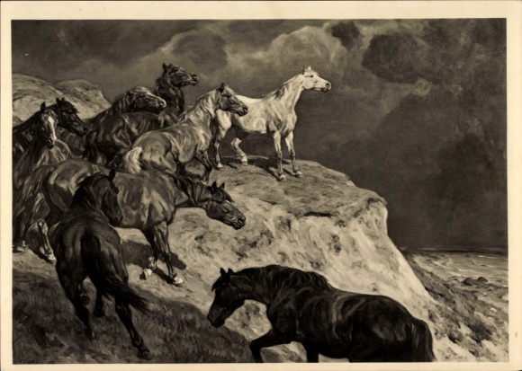 Artist Postcard Roloff, Alfred, HDK 527, In Freedom, Wild Horses, Cliff