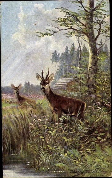 Artist PC Müller, M. jun., Two deer in a meadow, roebuck