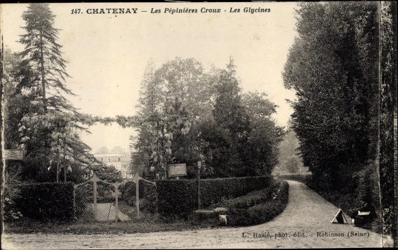Postcard Chatenay Hauts-de-Seine, Croux Nurseries, Les Glycines