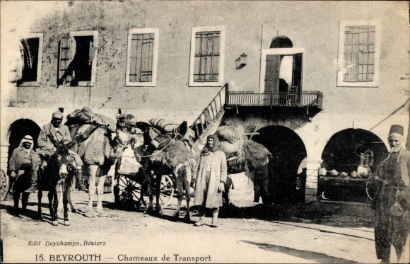 Ak Beirut Beyrouth Libanon, Chameaux de Transport, Araber, Kamele