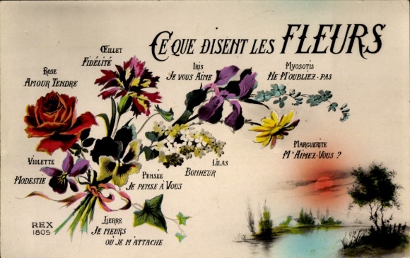 Postcard What Flowers Say, Rose, Tender Love, Lilac, Happiness, Iris, I Love You