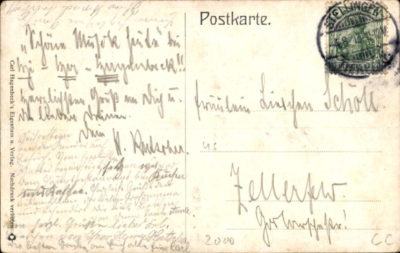 Postcard Hamburg Eimsbüttel Stellingen, Hagenbecks Tierpark, Nordland Panorama, polar bears