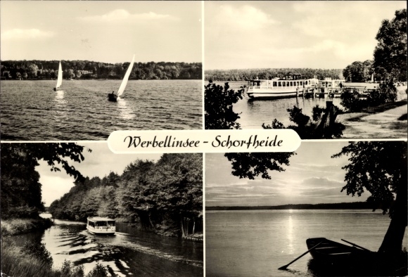 Ak Werbellin Schorfheide Barnim, Seeansichten, Segelboote, Schiff