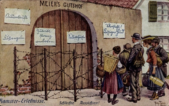 Artist Postcard Thiele, Arthur, hamster experiences, bad prospects, Meiers Gutshof, barbed wire
