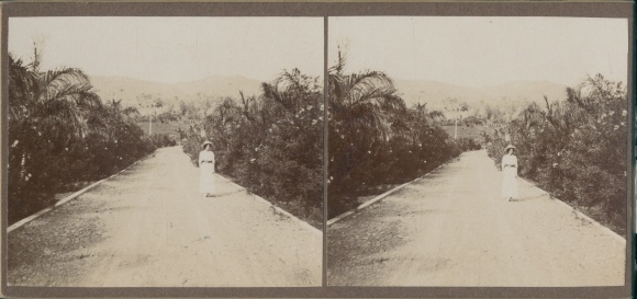 Stereo photo of Cuba, around 1915, woman posing on a street, palm trees