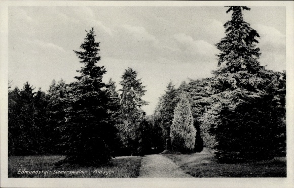 Postcard Edmundstal Siemerswalde Geesthacht on the Elbe, facilities, park