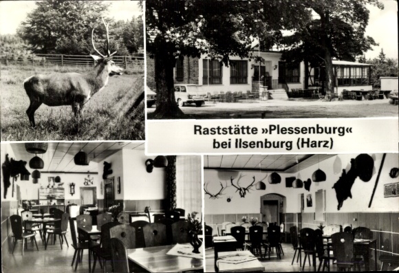 Ilsenburg am Nordharz, Plessenburg rest area, deer, antlers, interior view