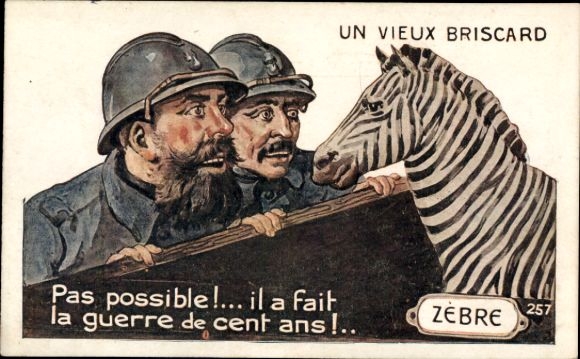 Postcard An old Briscard, he fought in the Hundred Years War, Zebre