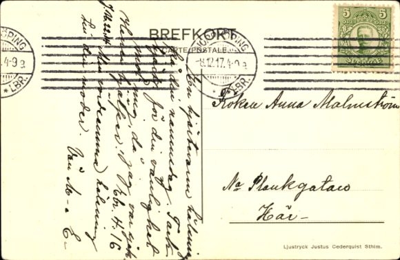 Postcard India, Evang. Fosterlands-Stiftelsen's mission