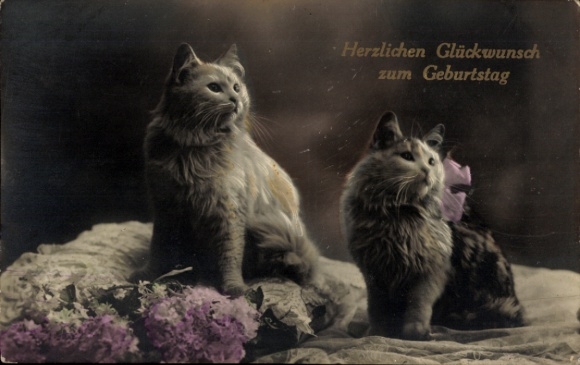 Postcard Happy Birthday, Cats