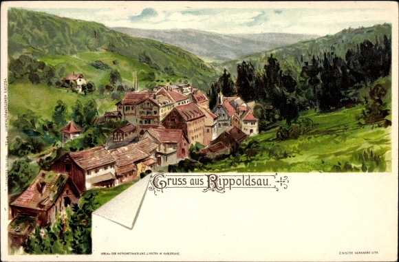 Artist Chromo-Litho Biese, C., Bad Rippoldsau Schapbach in the Black Forest, partial view of the place