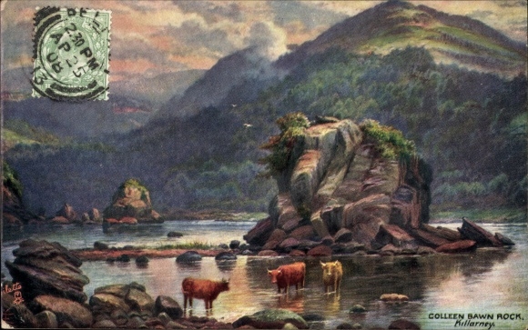 Artysta KP Killarney Irlandia, Colleen Bawn Rock