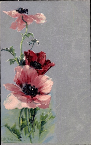 Artist Postcard Klein, C., Poppy, Flowers