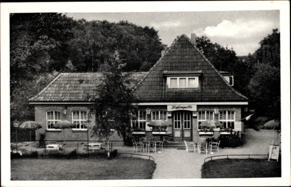 Ak Ahrensburg in Holstein, Hopfenquelle