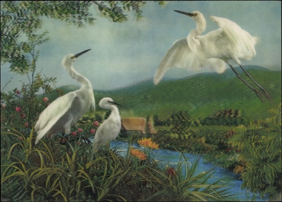 3-D Egrets, Three Egrets