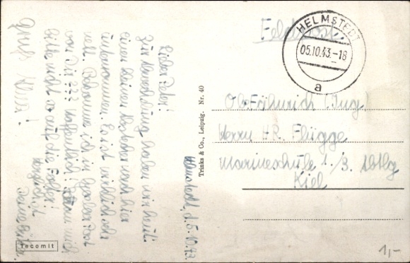 Ak Helmstedt in Nedersaksen, Hoflagerdes, hertog Julius, raam met borden, stadsbeeld