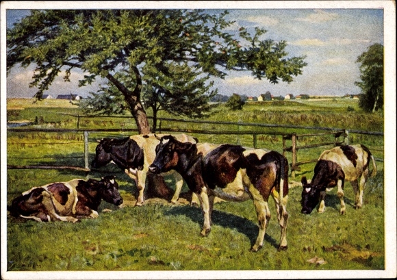 Artist PC Tag, Willy, In the paddock, cows in the pasture, HDK 231