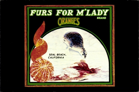 Postcard Furs for M'Lady Brand, Seal Beach, California, working and voting for animal rights