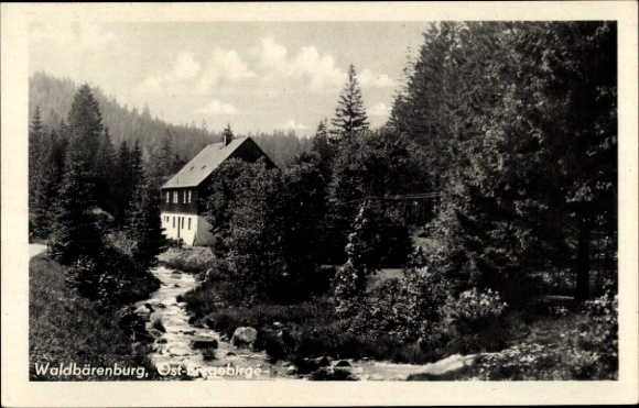 Ak Waldbärenburg Bärenburg Altenberg im Erzgebirge, Riedelmühle