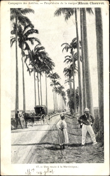 Ak Martinique, Eine Straße, Kutsche