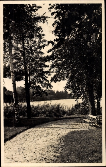 Fot. Lippehne Lipiany Wschodnia Brandenburgia, Park Sowy