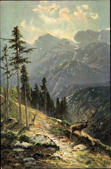 Artist PC Müller, M., deer, forest, mountain panorama