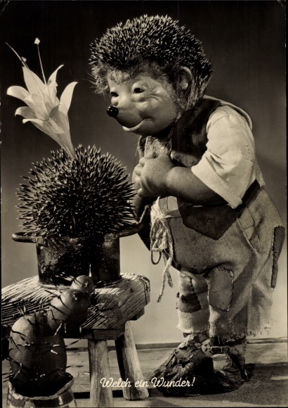 Postcard Mecki the hedgehog, what a miracle, blooming cactus