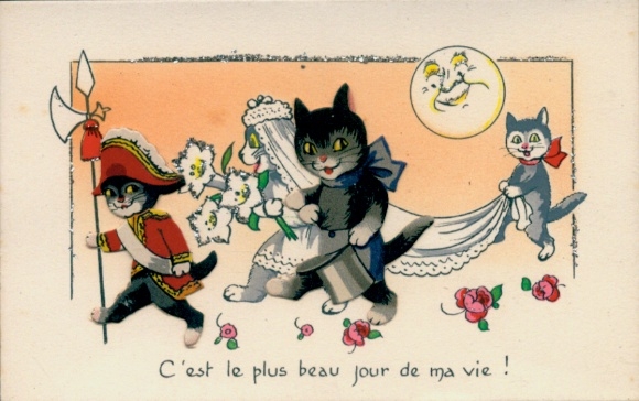 Postcard C'est le plus beau Jour de ma vie, cats